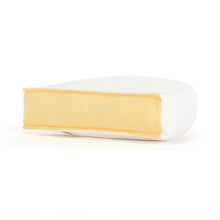 Load image into Gallery viewer, Jellycat Amuseables Brie plush toy - Island Child Hilton Head back view