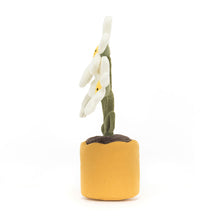 Load image into Gallery viewer, Amuseables Daisy