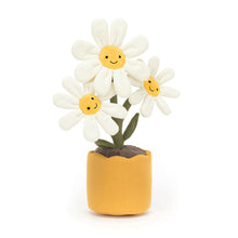 Load image into Gallery viewer, Amuseables Daisy