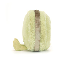 Load image into Gallery viewer, Amuseables Max Macaron