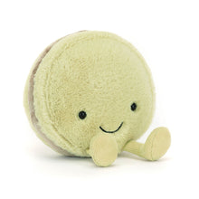 Load image into Gallery viewer, Amuseables Max Macaron