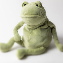 Load image into Gallery viewer, Fergus Frog