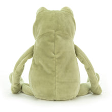 Load image into Gallery viewer, Fergus Frog