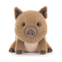 Load image into Gallery viewer, Swinley Boar