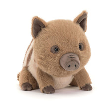 Load image into Gallery viewer, Swinley Boar