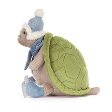 Load image into Gallery viewer, Timmy Turtle 'Skating'