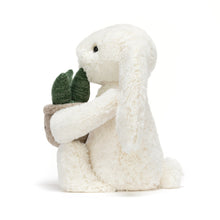 Load image into Gallery viewer, Jellycat cream bunny plush gift toy collectible
