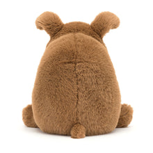 Load image into Gallery viewer, Jellycat Derreck Dog
