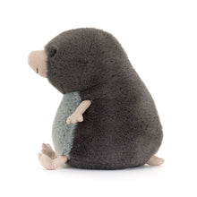Load image into Gallery viewer, Muswell Mole by Jellycat
