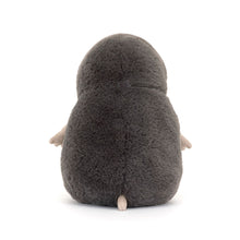 Load image into Gallery viewer, Muswell Mole by Jellycat
