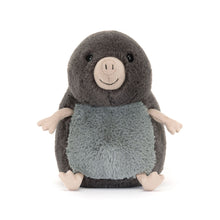 Load image into Gallery viewer, Muswell Mole by Jellycat
