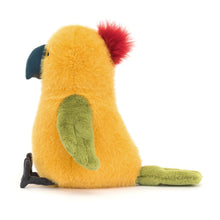 Load image into Gallery viewer, Budgeby Parrot

