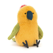 Load image into Gallery viewer, Budgeby Parrot
