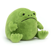 Load image into Gallery viewer, Ricky Rain Frog by Jellycat
