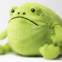 Load image into Gallery viewer, Ricky Rain Frog by Jellycat

