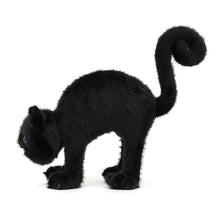 Load image into Gallery viewer, Spookipaws Cat
