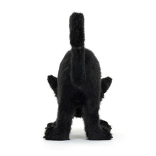 Load image into Gallery viewer, Spookipaws Cat
